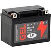 LP BATTERIES LANDPORT BATTERIA LTZ14-S 12V 11,2Ah GEL 190A COMPATIBILE CON BMW R 1200 GS | Tipi di confronto YTZ14S, FTZ14S, CTZ14-S; compatibile con Honda CBR, Forza, NC, KTM Adventure, Yamaha FZS