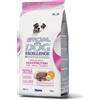- Crocchette per cani Special Monge Dog Excellence Adult Medium al pollo 3 kg
