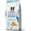 - Crocchette per cani Special Monge Dog Excellence Adult Medium al pollo 3 kg