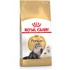 Royal Canin Cibo secco per gatti adulti Persiani Royal Canin+ 12 mesi 2 kg