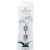 - Clip per orchidee Trasparente