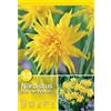 - Narciso Rip van Winkle 10 pz