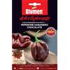 Blumen Semi Blumen Peperone Habanero chocolate