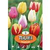 - Tulipano Triumph Misto