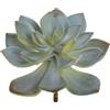 - Pianta artificiale Succulent