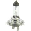 - XLTECH Lampadina auto H7 12V 55W