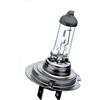 PHILIPS VisionPlus 1 Lampadina auto H7 12V 55W