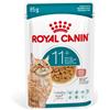 Royal Canin Croccantini per gatti adulti Royal Canin Ageing 11+ 2 kg