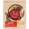 Purina ONE Crocchette per cani Purina ONE mini senior 8+ pollo e riso 800 g