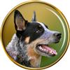 Australiano Bestiame Cane Distintivo di Lapel Pin