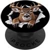 4WhiteTailed DeerLovers Divertente cervo dalla coda bianca che sbircia carino zoo amante degli animali PopSockets PopGrip Adesivo