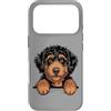 Bernedoodle Black Tan Custodia per iPhone 17 Pro Nero e Tan Bernedoodle Divertente Peeking Berner