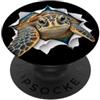 4SeaTurtleLovers Divertente tartaruga marina che sbircia carino zoo amante degli animali PopSockets PopGrip Adesivo
