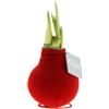 Bloomique - Bulbo di Amaryllis in cera - Rivestimento vellutato rosso - Bulbo floreale - No Water Flowers - Decorazione natalizia - 15-25 cm all'arrivo - Cresce fino a 40-60 cm - ⌀10 cm