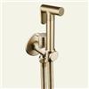 FQYEP Bidet Portatile per WC Rubinetto Bidet In Ottone Montaggio A Parete Idroscopino per WC Maniglia Singola Montaggio A Foro Singolo,Oro Spazzolato