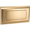 Empyreal Placca di Comando WC,per Geberit 200F, 115222111 (oro spazzolato) | con Set di Leve di Scarico e Viti di Installazione, 340 x 185mm, 1 Pezzo