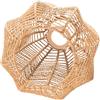 Uonlytech Paralume Lampadario in Rattan Paralumi Da Tavolo e Della Fattoria i in Vimini i Intrecciati Per Lampadari e Del io e Boho Ferro Da Stiro