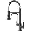 FORIOUS Rubinetto da Cucina a 3 Vie con Uscita Separata per Acqua Filtrata, Rubinetto Cucina 2 in 1 in Acciaio Inox con Doccetta Estraibile, 3 Modalità di Getto, 2 Leve, Girevole a 360°, Nero Opaco
