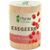 Feel Green Fragola vegetale | Set di coltivazione in cilindro in legno con semi biologici
