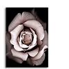 OYFFL Fiori rosa Pittura Poster Nordic Home Decor Pittura a olio Poster e stampe Soggiorno Home Decor Canvas Wall Art (50 * 70cm Senza cornice,14)