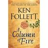 Ken Follett A Column of Fire (Copertina rigida) Kingsbridge