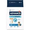 Affinity Advance 1,5 kg gratis! 10 kg Advance Crocchette per gatto - 8,5 kg + 1,5 kg Adult Pollo & Riso