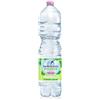 san-benedetto Acqua minerale 1,5 L Ecogreen San Benedetto naturale in conf. da 6 bottiglie - 1755