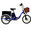 Daibot Bicicletta elettrica a 3 ruote da 20 pollici per adulti, 350W 48V 7 velocità, triciclo elettrico da carico per anziani, batteria rimovibile