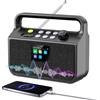 NONE Radio Digitale DAB+/DAB/FM con Batteria da 20.000 mAh, Bluetooth 5.3, Display a Colori da 2,4", 80 Preset; Supporta Scheda TF/Allarme/Timer di Spegnimento/Ingresso AUX da 3,5 mm - Per Cucina,