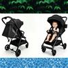 Sianldcone Passeggino 2 in 1 per Neonati, Leggero, Portatile e Pieghevole, Carrozzina da Viaggio, Montaggio Semplice, Economico e Pratico, Passeggino Alto per Neonati, Ottima Scelta per Genitori, Popolare e