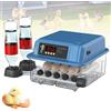 Incubatrice automatica per uova di pollo, anatra, uccelli e quaglia, con controllo della temperatura, attrezzatura per incubazione di pollame