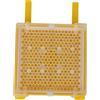 Cocosity Set per l'allevamento della regina, kit per l'allevamento della regina, accessori per l'allevamento della regina, kit per l'allevamento delle api, forniture per l'apicoltura