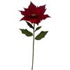 BIZZOTTO POINSETTIA ALYSSIA ROSSO H120