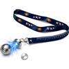 Custamix Raccogli palline da bocce magnetiche con magnete 2,5 cm e rondella di protezione, accessorio per petanque 65 cm con metro di misurazione