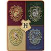Northwest Harry Potter Micro Raschel - Coperta da tiro 116,8 x 152,4 cm, Botanical Houses
