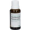GUNA HE.CHELIDONIUMHOMAC30MLGTTHE - GUNA - 909468237