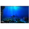 Garosa Acquario Sfondo Poster 3D Effetto Adesivo Poster Seaworld Sfondi Acquario Wallpaper(122 * 61cm)