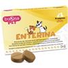 Buona pet enterina cane e gatto 10 compresse masticabili