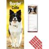 Avonside Border Collie 2027 Calendario Slim con Adesivi Organizzativi, Pianificatore da Parete 12 Mesi (Gen-Dic 2027), Casa, Ufficio o Cucina per Amanti dei Cani, 15 x 42 cm