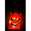 CARNIVAL TOYS Borsina zucca h.cm.27x20 ca.con luci in tessuto plastificato con cartellino/etichetta (batterie incluse)