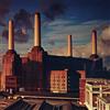Warner Music Animals