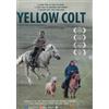 Leomark Studios Mongolian Invasion - Yellow Colt (DVD) D. Byambatsogt P. Munkh-Od Ts. Tserenbold