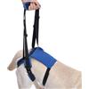 Generic Imbracatura di supporto per sollevamento cani per sollevamento 'anca | Dog Sling Small Pets Leg Support Pet Mobility Support, Hip Assistance, Anziani Disabili, Canini disabili, Senior