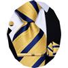 YourTies Cravatte di seta da uomo, motivo scozzese, motivo cachemire | Cravatta fazzoletto gemelli fermacravatta scatola regalo, abito camicia smoking, classico formale festa di matrimonio