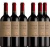 zenato Valpolicella DOC Classico Superiore Zenato 75cl 2022 - 6 Bottiglie