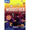 PBS American Experience: Woodstock - Three Days That Defined A Generation
