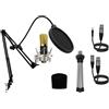 Berlin 1800 Gold Pro - Microfono a Condensatore Da Studio - Include Supporto, An