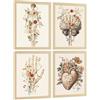 Nacnic Set Di 4 Stampe Anatomia Umana Poster Decorativi E Quadri Con Fiori Corpo Completo Cervello Mano E Cuore Stile Moderno Decorazione Da Parete Medica Dimensione A4 Senza Cornice