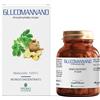 PromoPharma Glucomannano monoconcentrato - Integratore snellente e saziante, 50 capsule