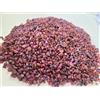 500 ct PULS rubino rosso pietra preziosa africana naturale grande grezza